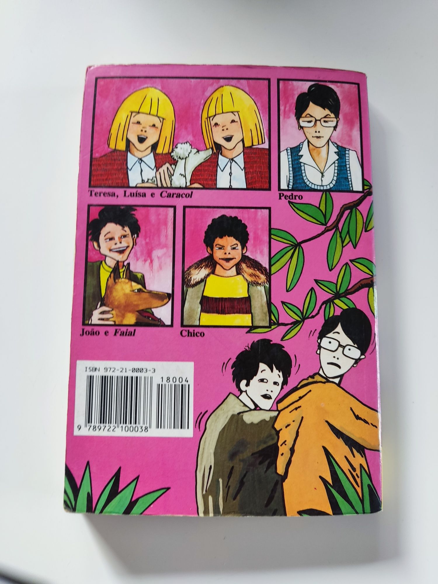 Livro uma aventura em viagem - volume 4