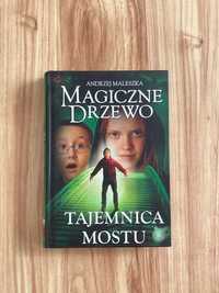 Książka "Tajemnica mostu"