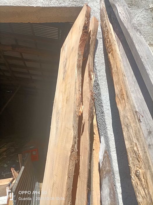 Chapas de Madeira macissa