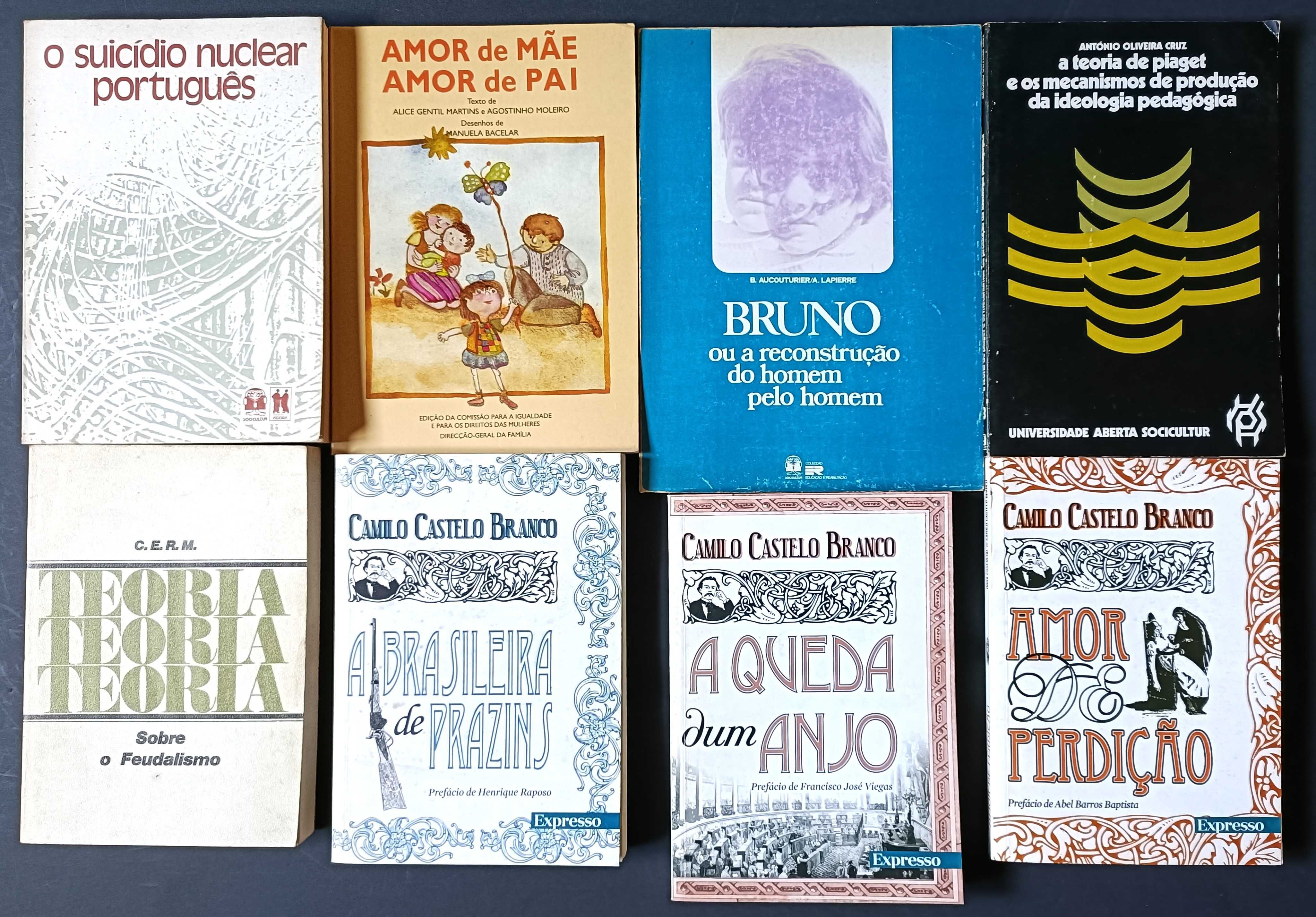 Lote de 69 livros de literatura variada, por apenas 100€.