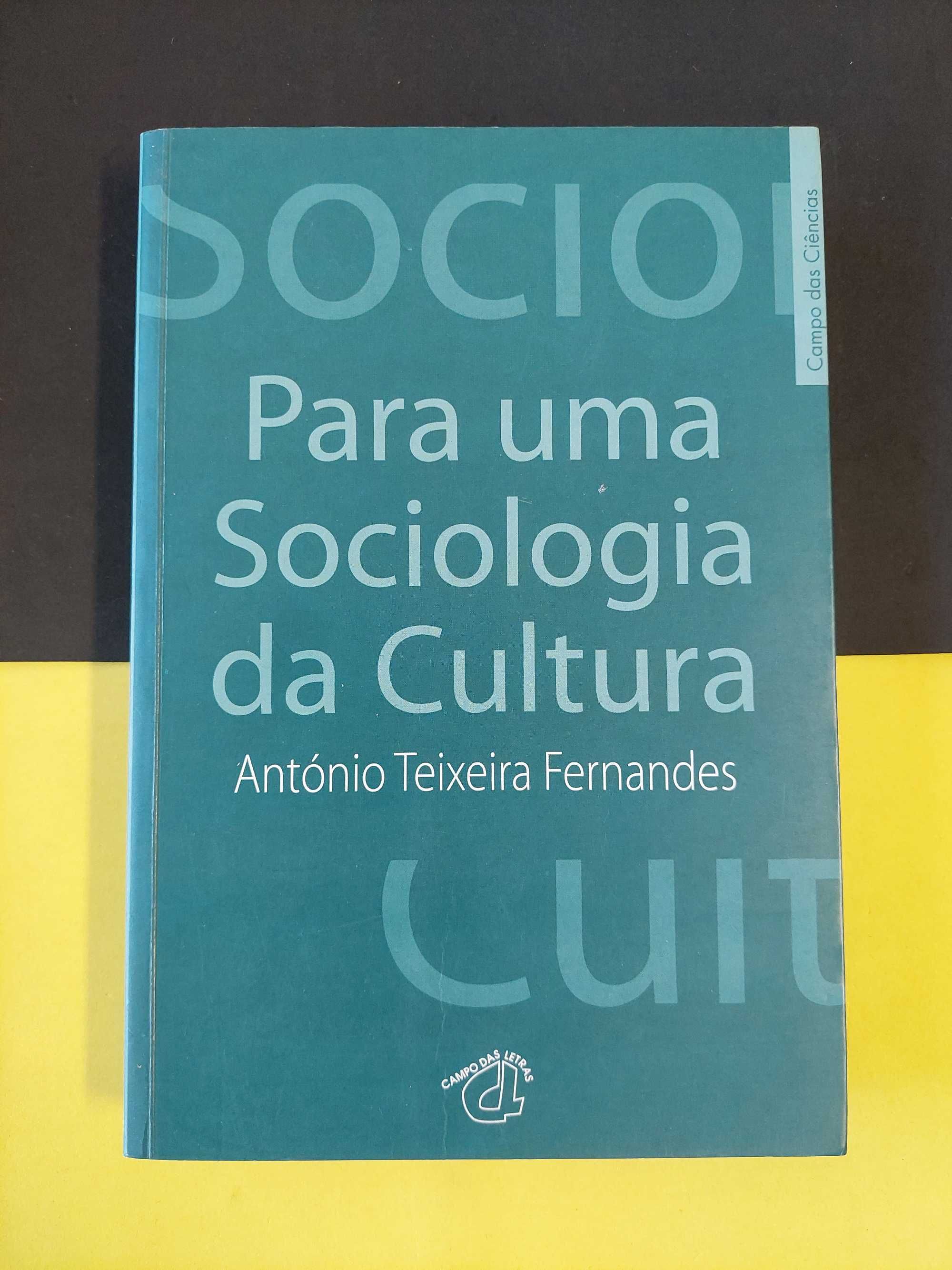 António Teixeira Fernandes - Para uma sociologia da cultura