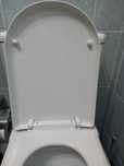 Tampa  Sanitária
