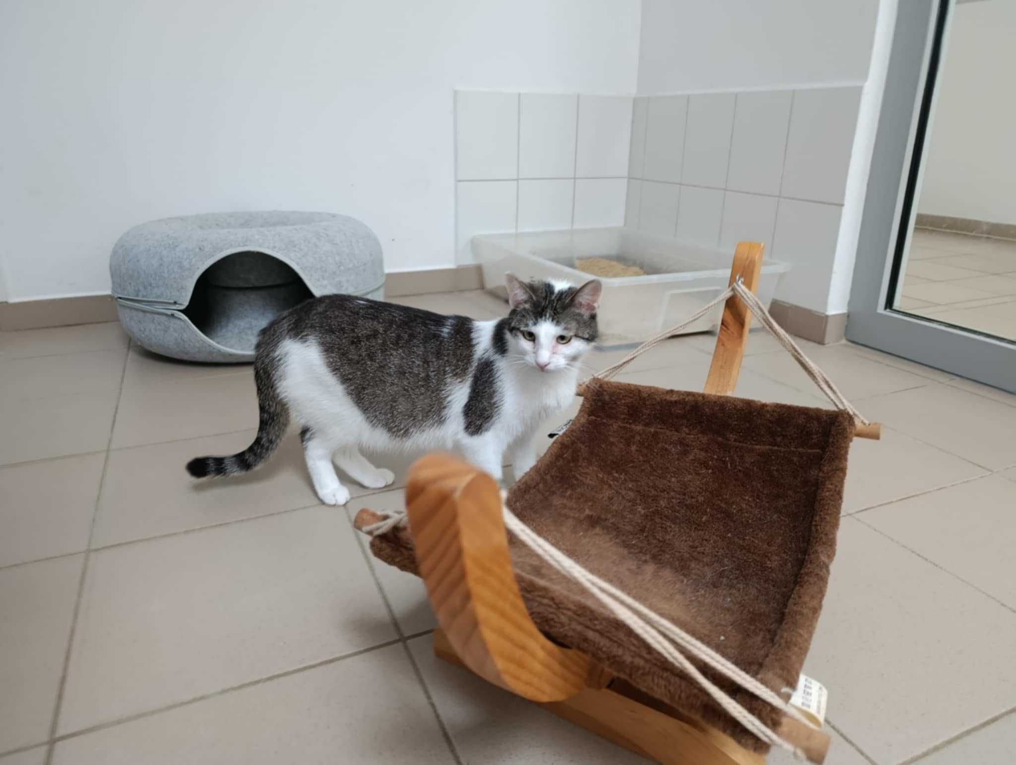 Nija marzy o kochającym opiekunie