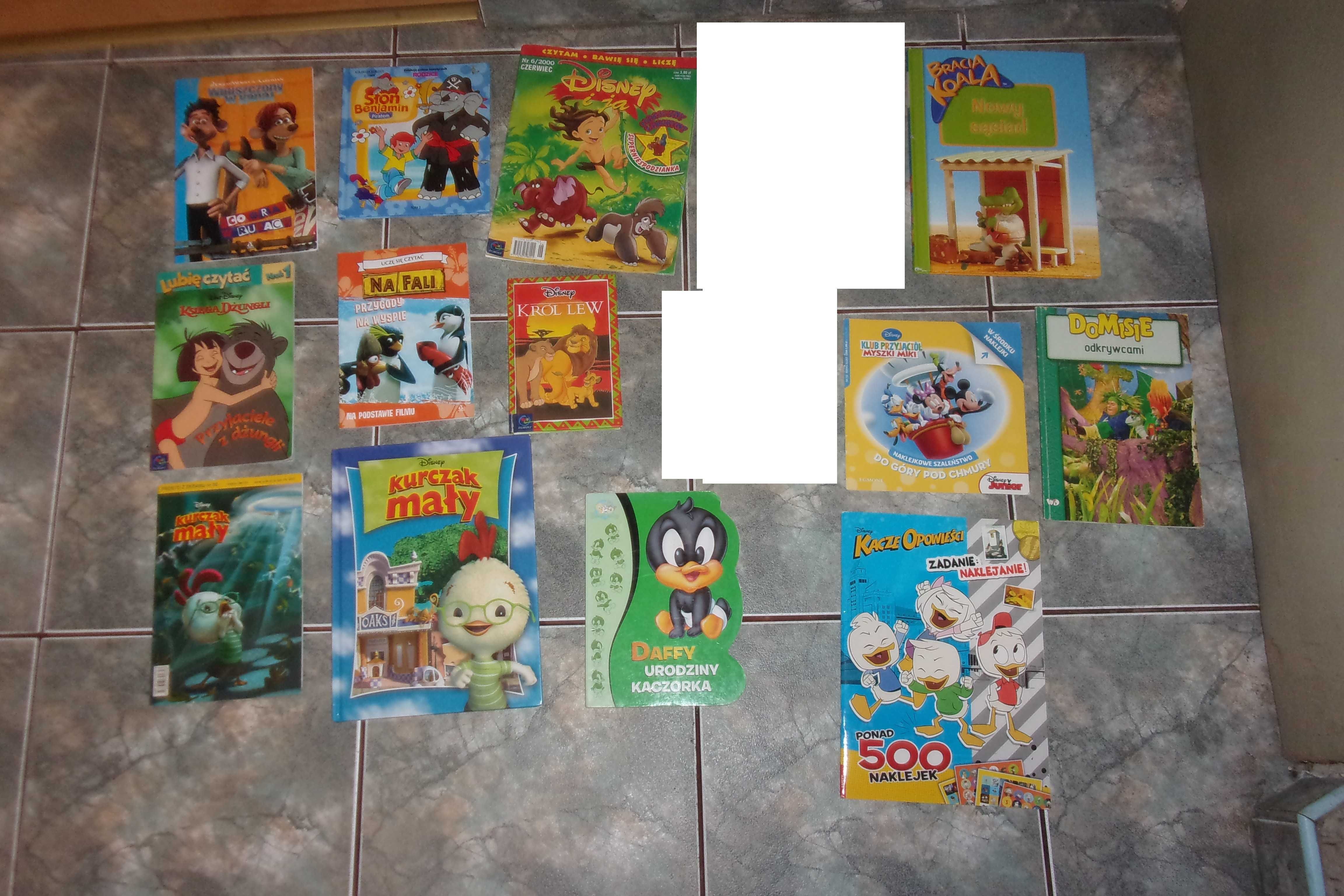 bracia koala nowy sąsiad disney Daffy kurczak mały domisie