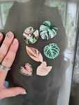 nowe magnesy na lodówkę liście begonia monstera