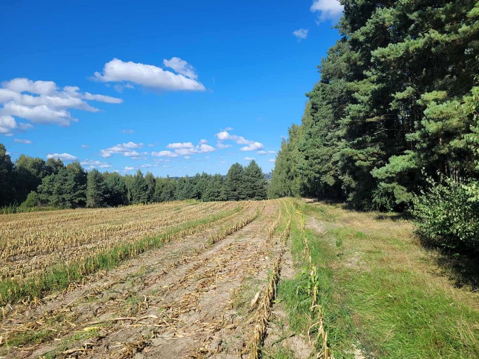 Działka budowlana w Gzinie 1030 m2