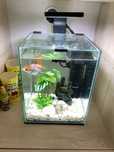 Sprzedam akwarium krewetkarium 10l Aquael