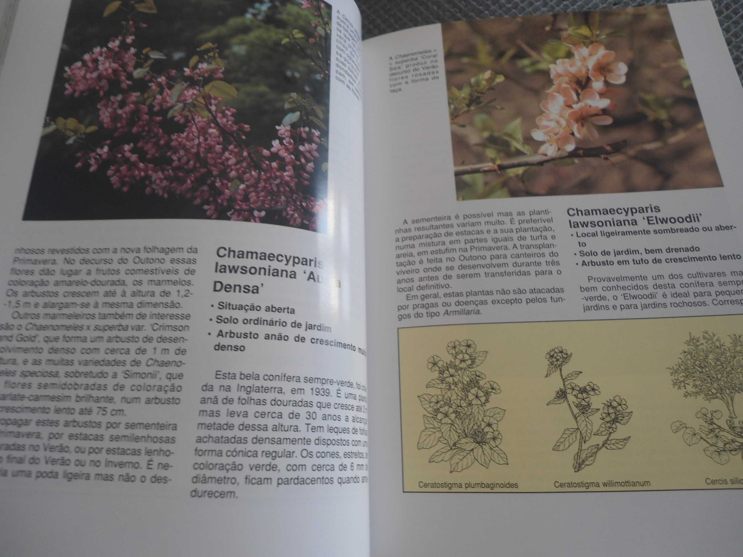 Plantas de Jardim (2 volumes) por David Squire