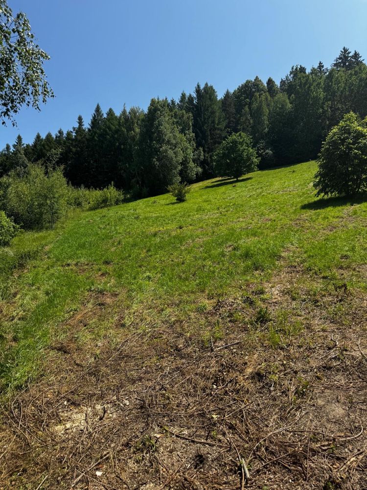 Czyszczenie dzialek , koszenie trawy, wycinka
