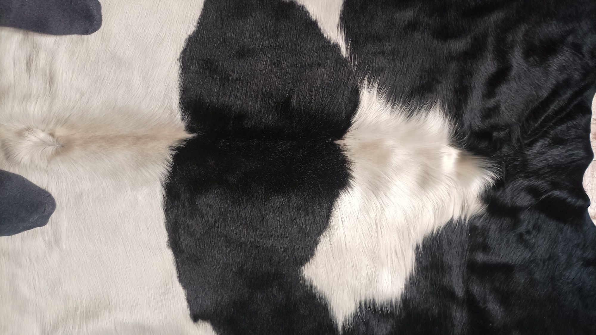Tapete pele de vaca genuíno acabamento de luxo preto e branco 3,55 m