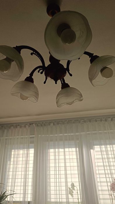 Żyrandol 5 kloszowy