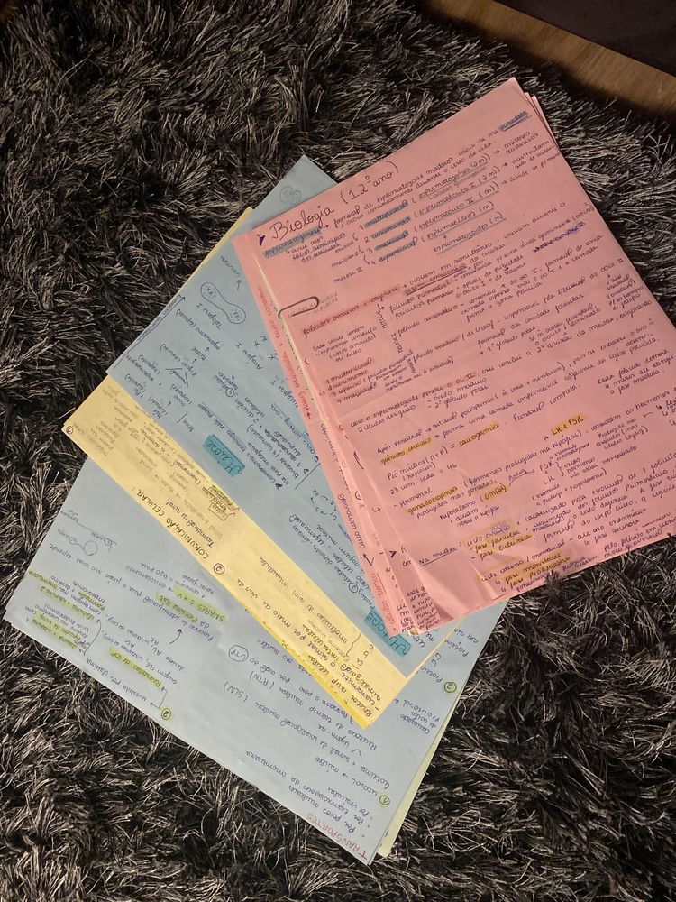 apontamentos/ resumos  de preparaçao para exame de medicina