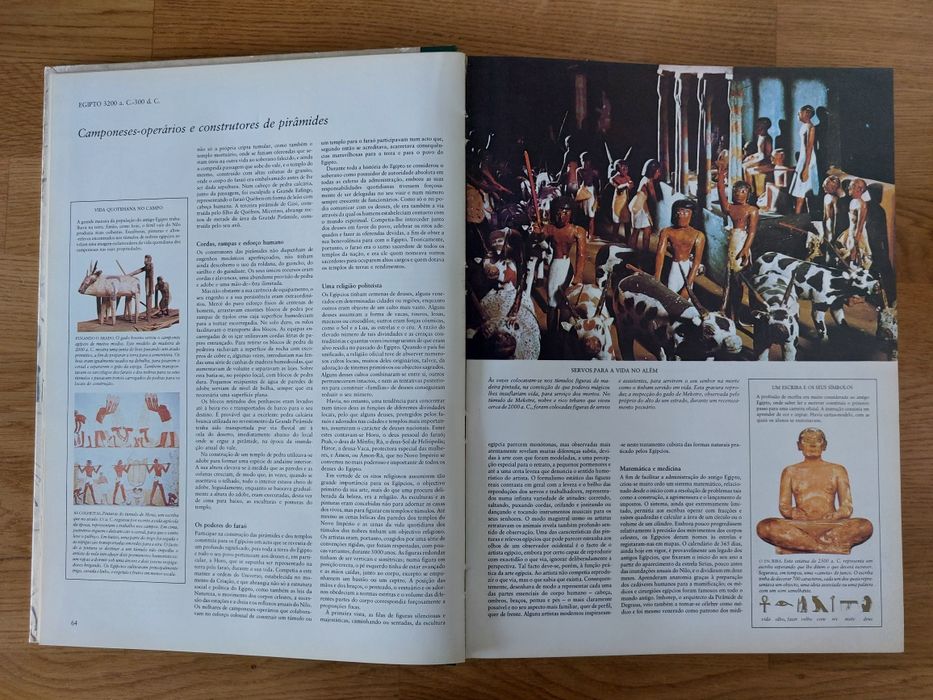 Livro História do Homem nos Últimos Dois Milhões de Anos