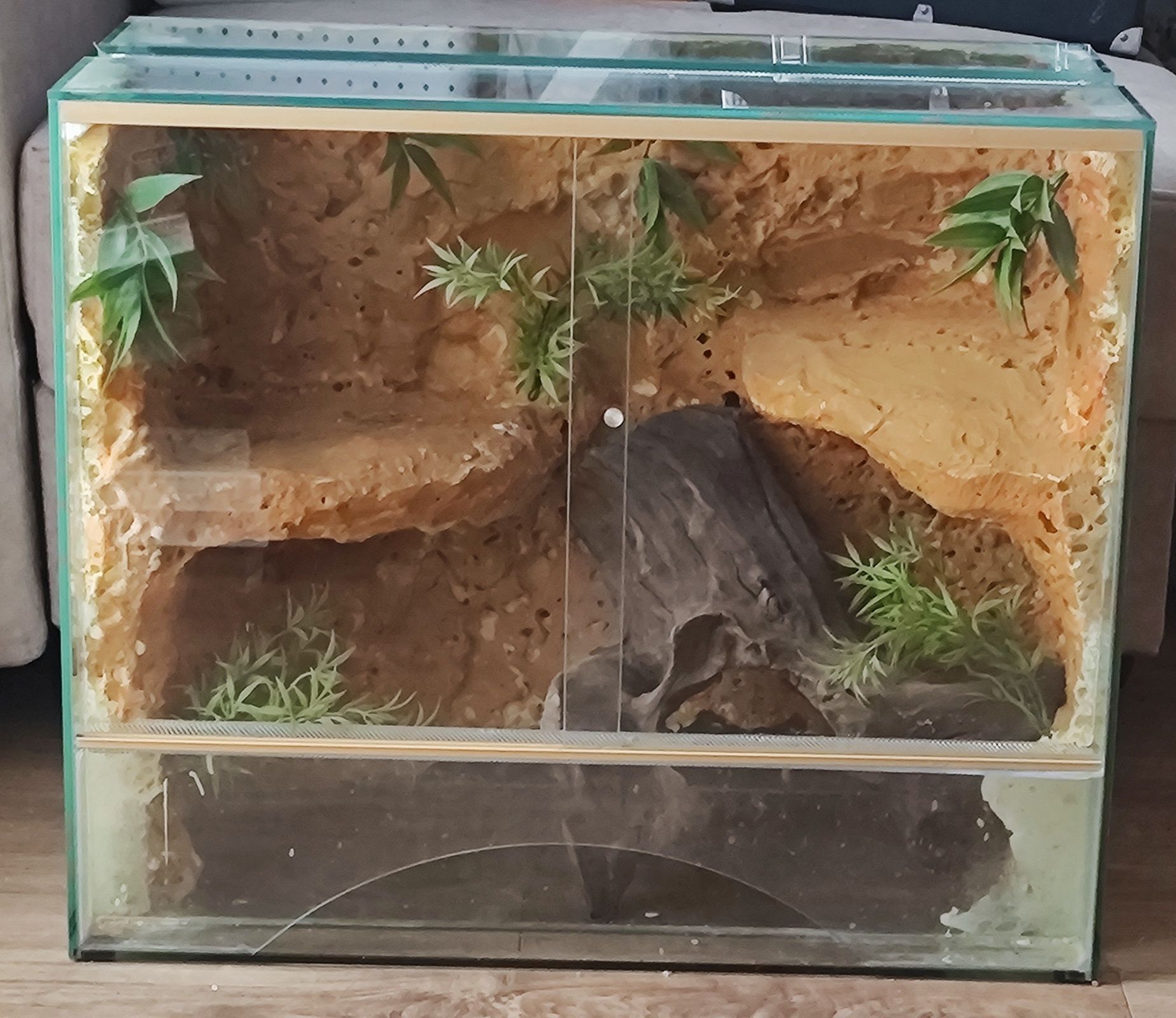 Terrarium 60/50/30 cm