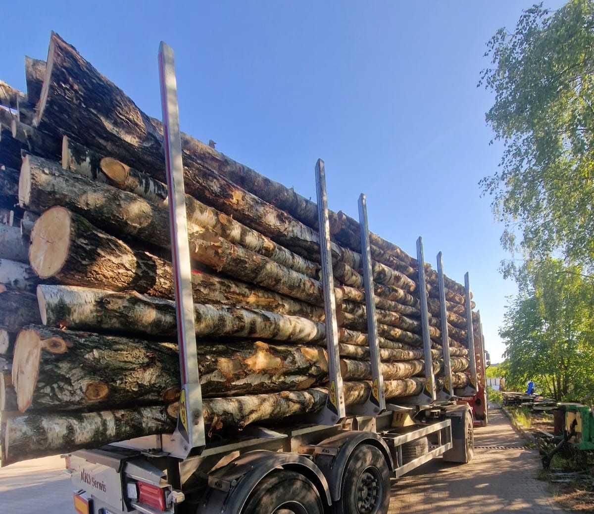 PIĘKNA Brzoza opałowe drewno brzozowe kominkowe, możliwy transport