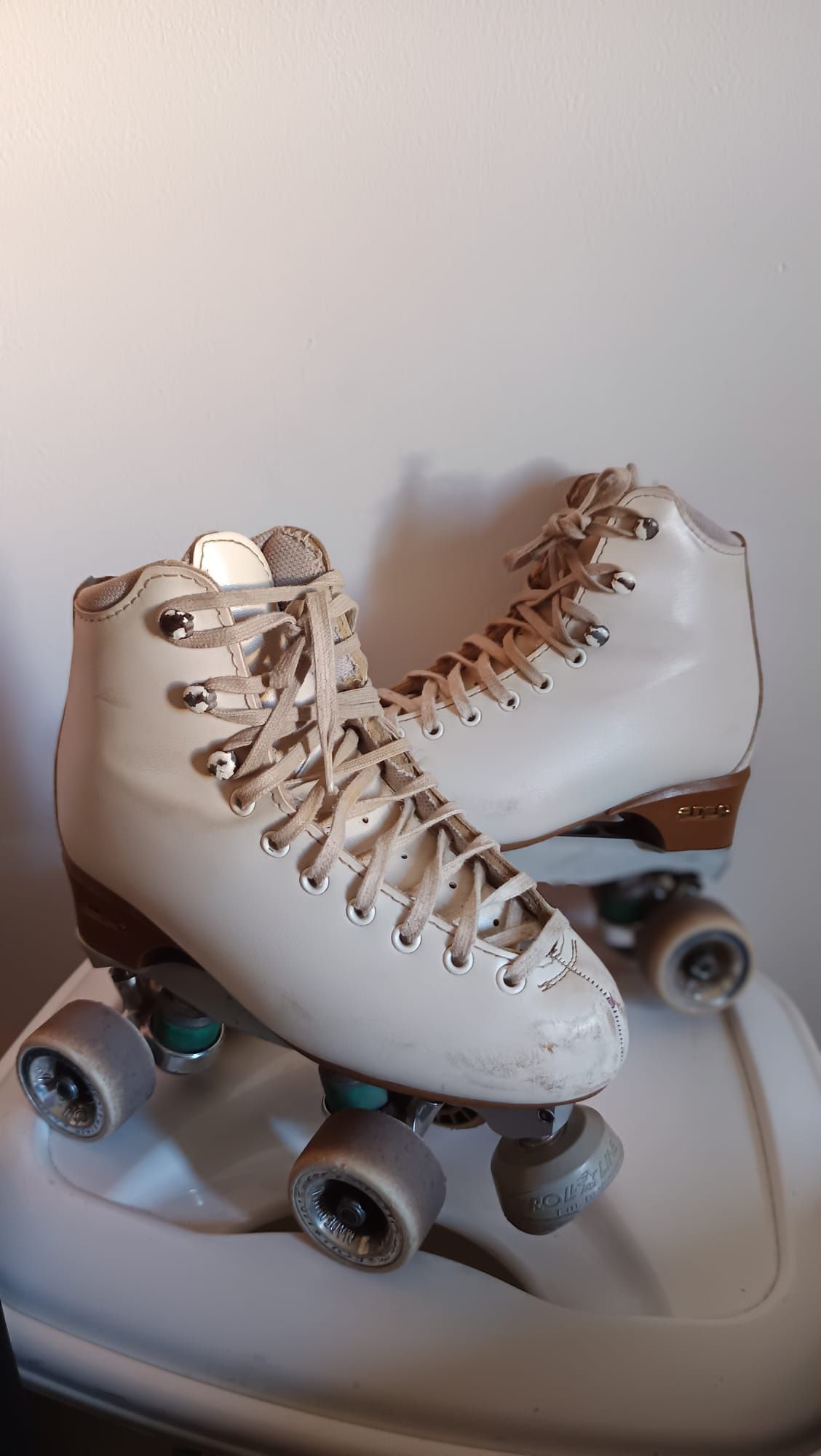 Patins Profissional
