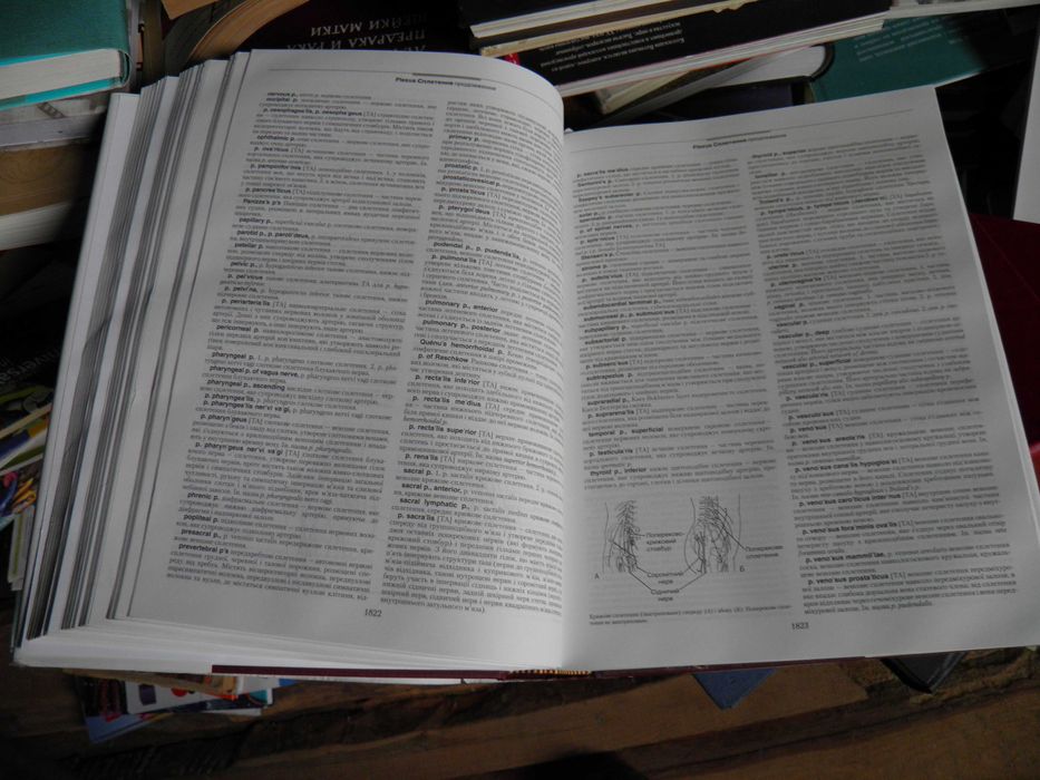 Ілюстрований медичний словник Дорланда