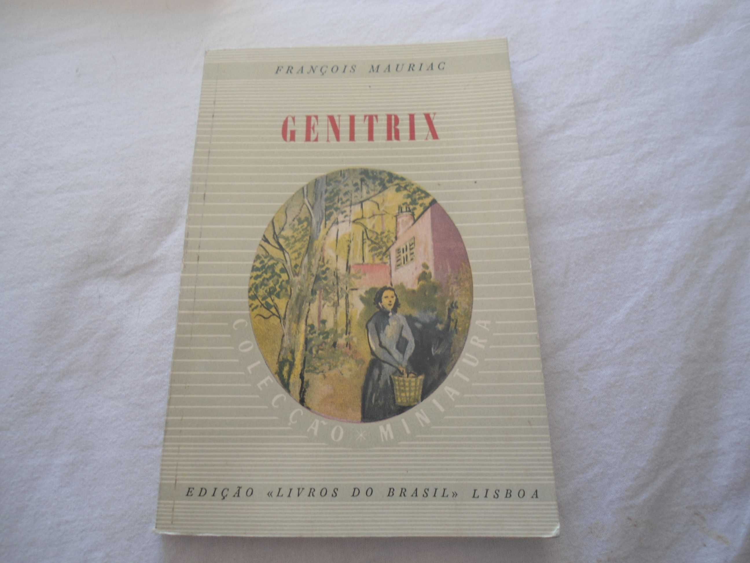 Coleção Miniatura - Edição Livros do Brasil