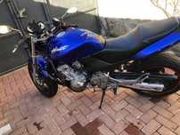 Hornet 600 Ano 1999