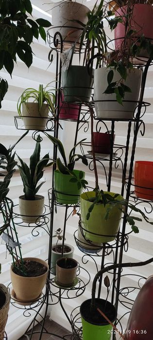 Кованая стойка под цветы