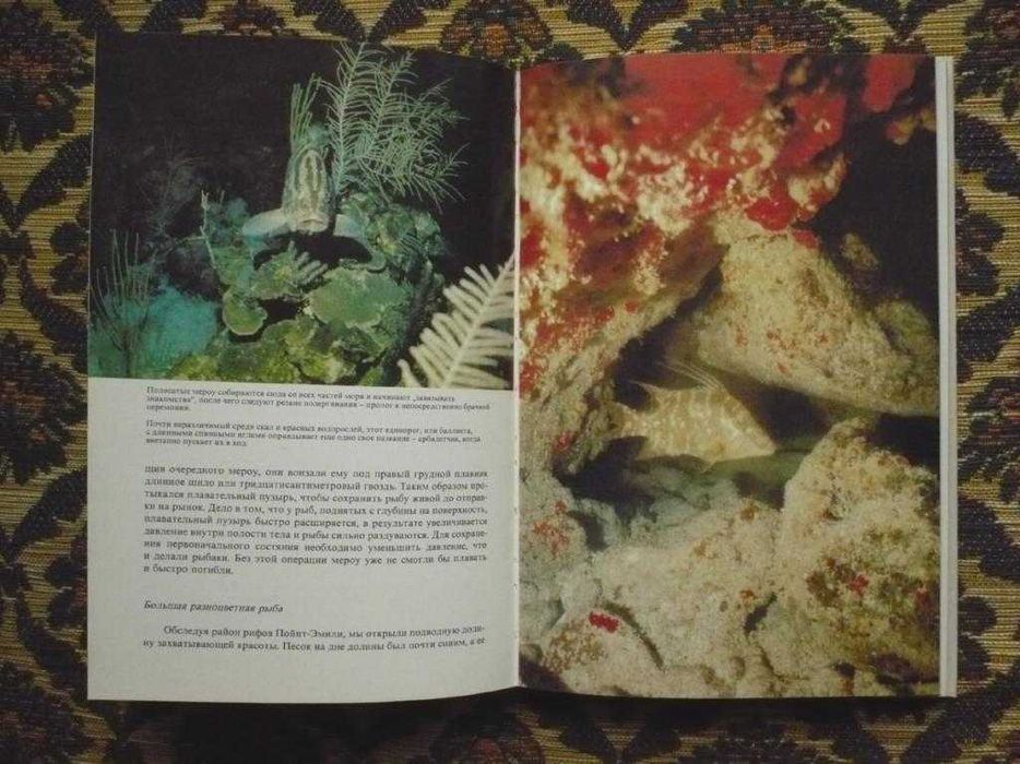 Жак-Ив Кусто, Ив Паккале - Сюрпризы моря - Л.: Гидрометеоиздат, 1982