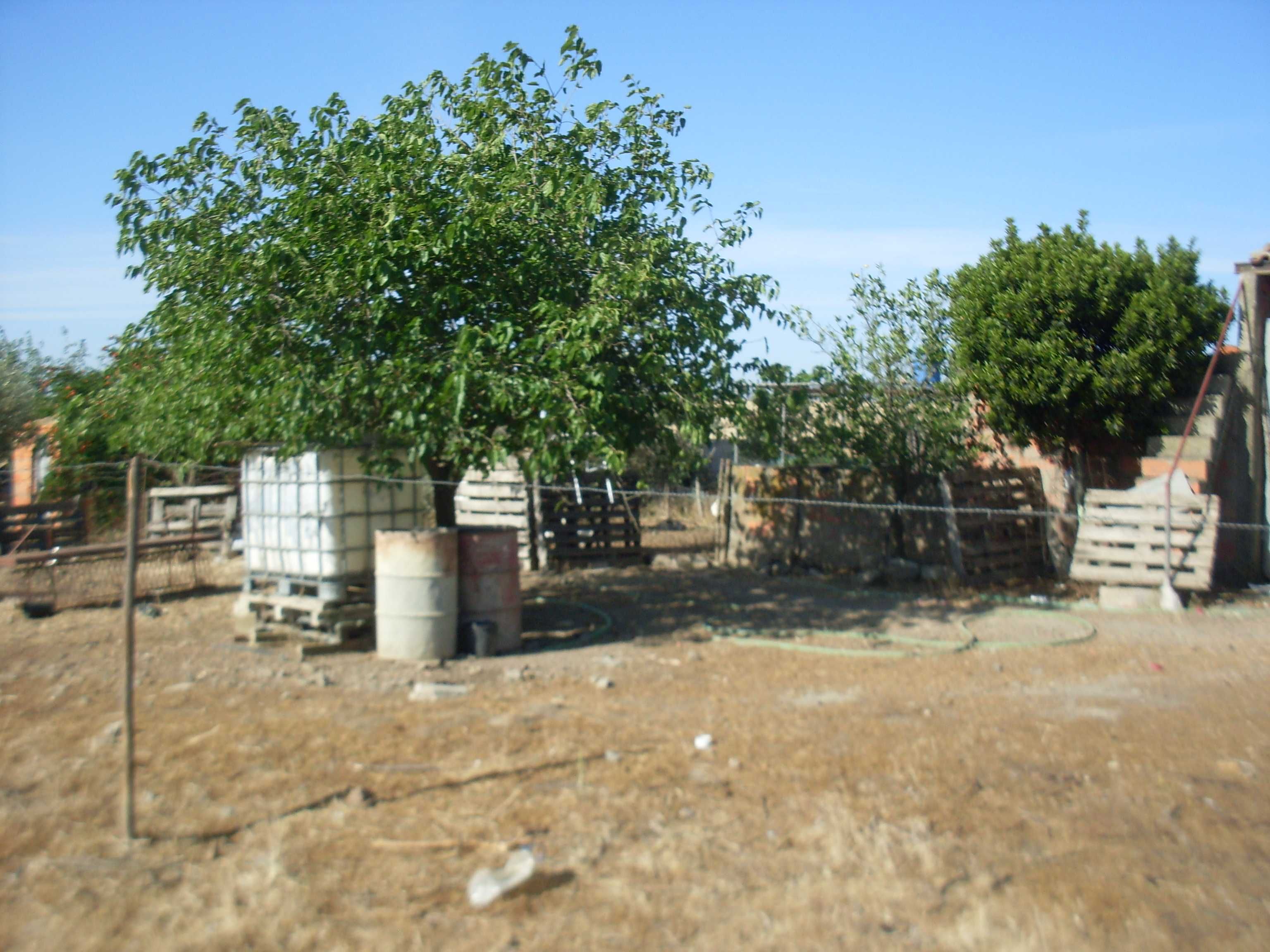 Pequena Quinta com agua de furo