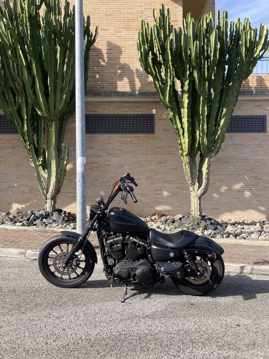 harley davidson iron