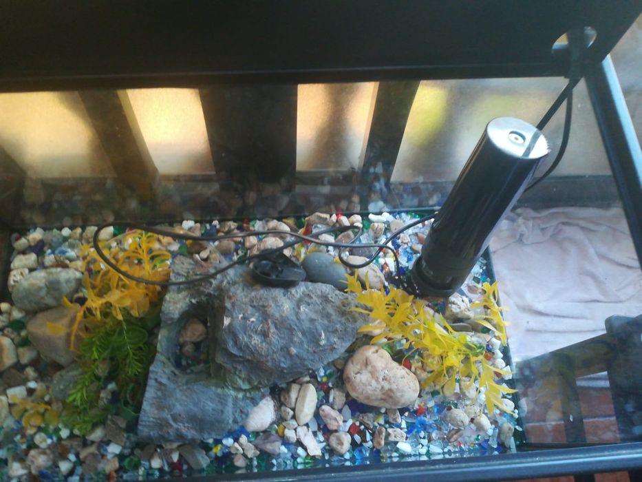 Aquário com bomba