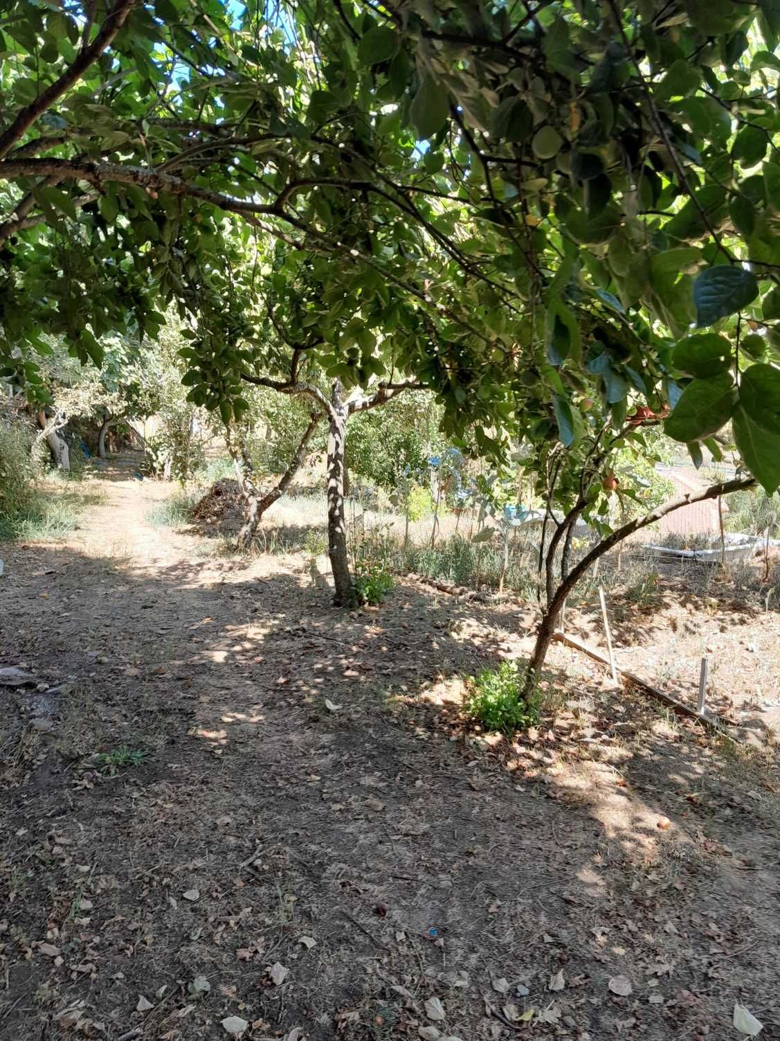 A sua casa de sonho, entre o campo e a cidade!