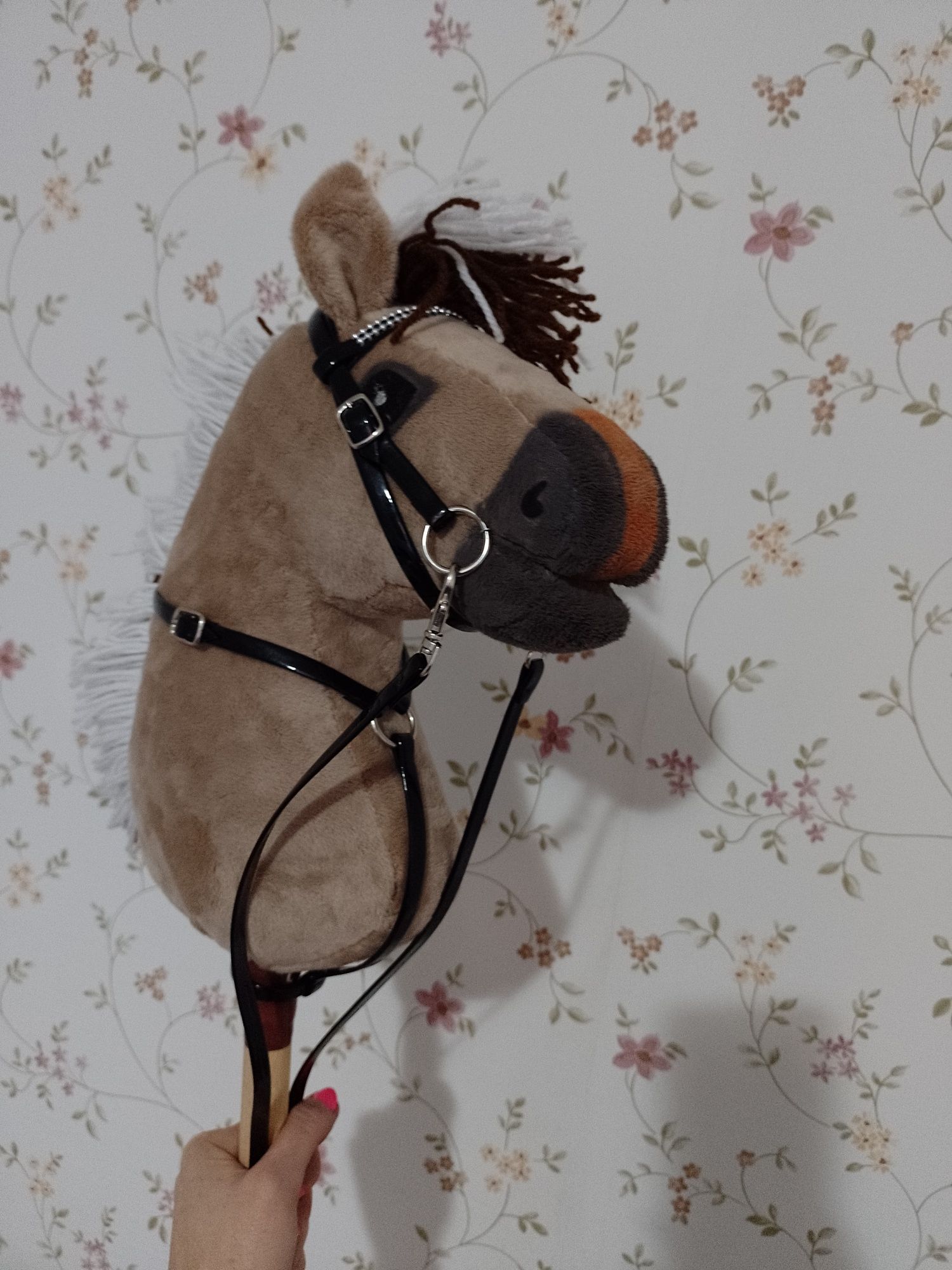 Hobby Horse Sport