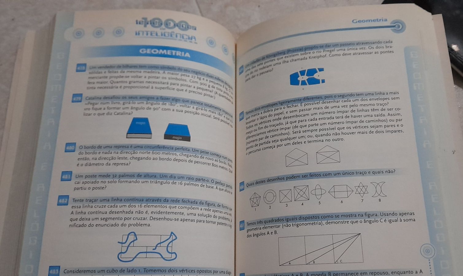 Livro 1000 testes e jogos de inteligência