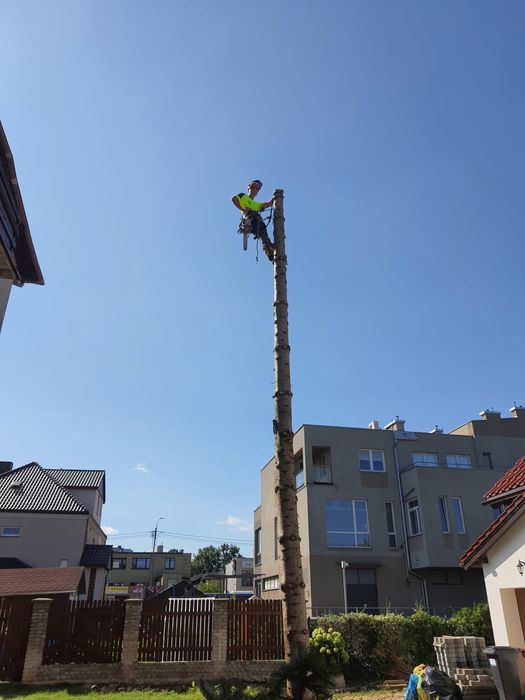 Alpinistyczna wycinka drzew, oczyszczanie dzialek, koszenie