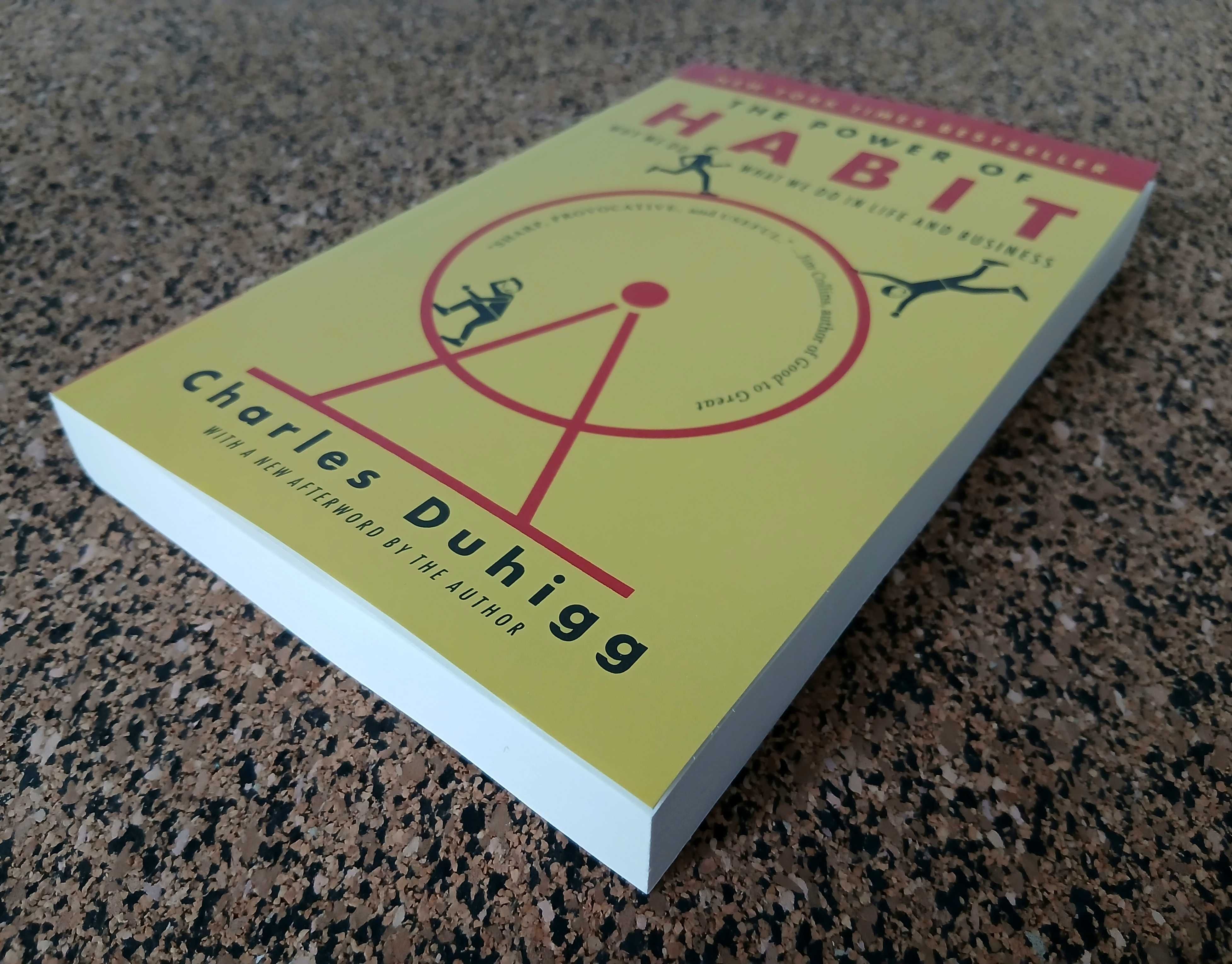 The Power of Habit (why we do what we do in life and business)