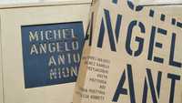 Michelangelo Antonioni – kolekcja 8 filmów + dodatkowo 3 filmy