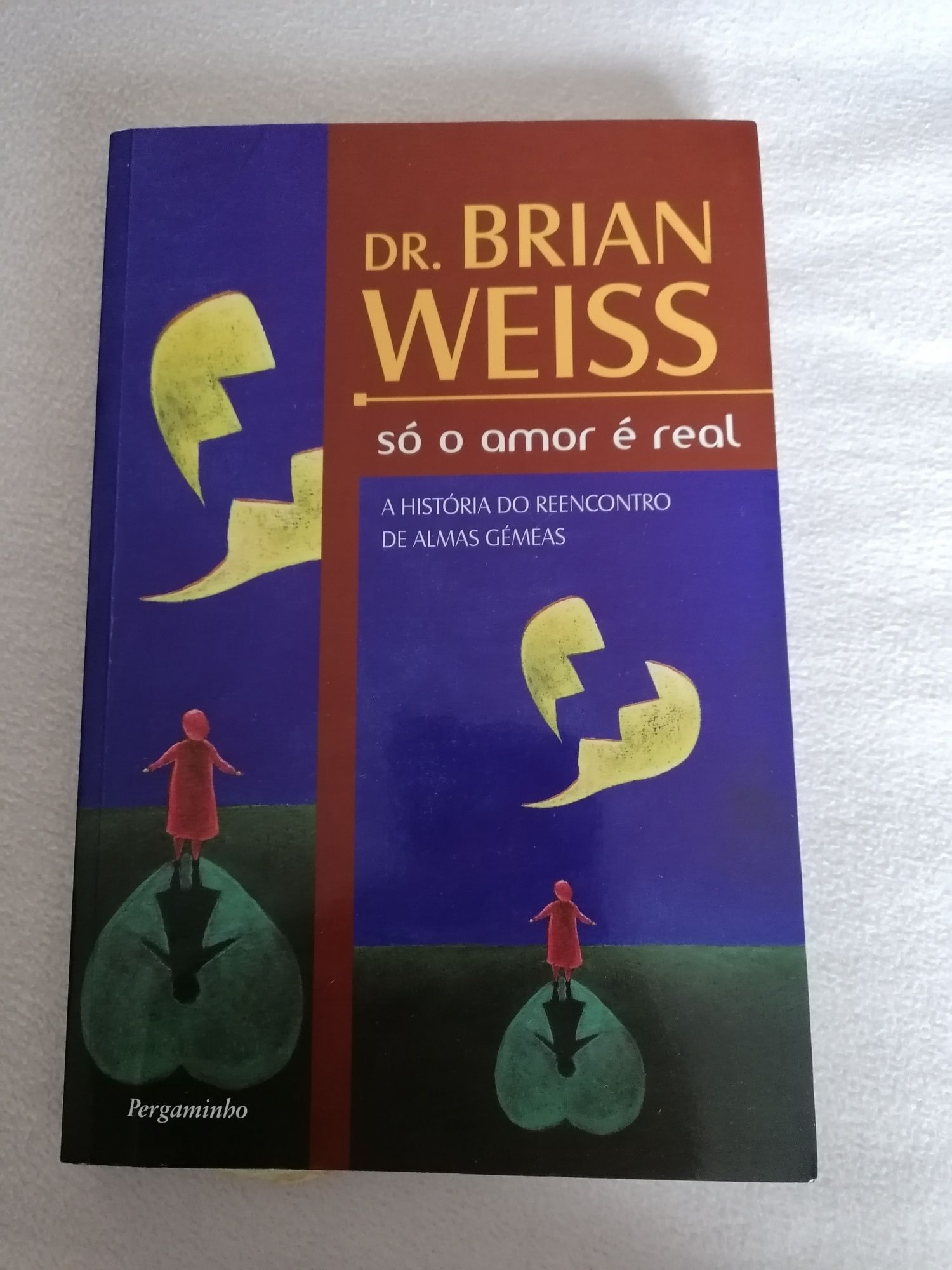 Só o amor é real - Brian weiss