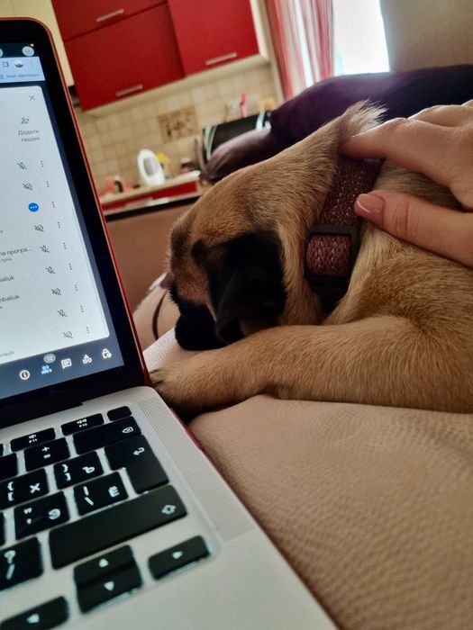 IТ-репетитор онлайн | Інформатика, програмування