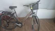 Rower damski Sparta Argeon