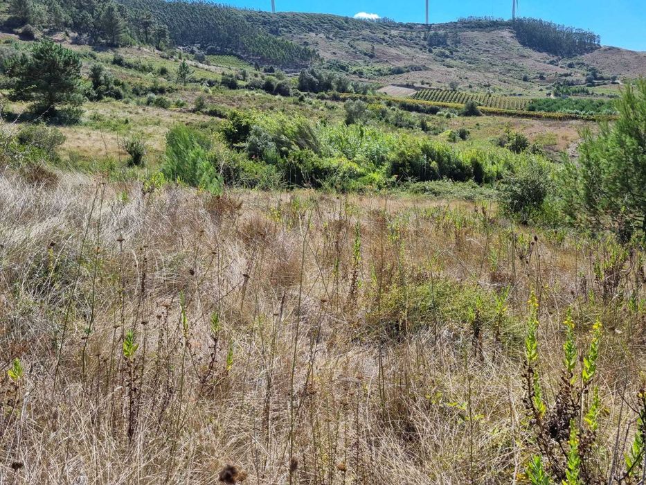 Terreno agricola e florestal - 3€/m2