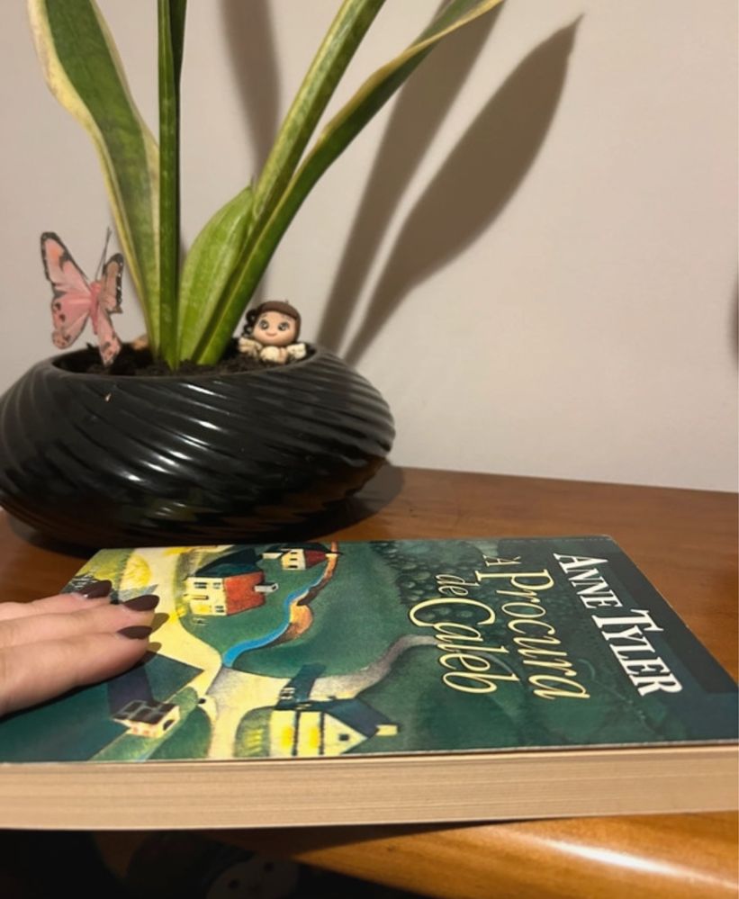 Livro a procura de caleb PORTES INCLUIDOS