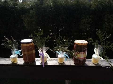 miód spadziowy, leśny iglasty, akacjowy malinowy  pyłek PROPOLIS