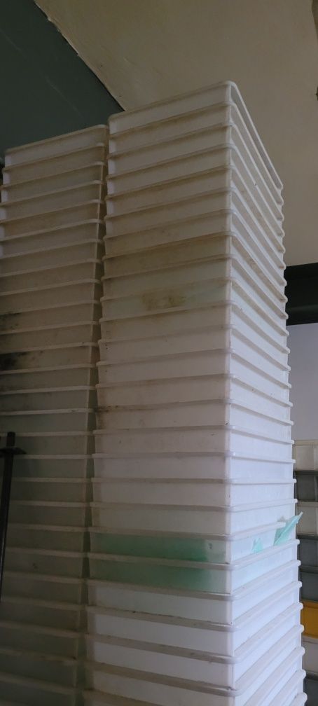 Kastle pojemniki plastikowe piekarnicze 59cm