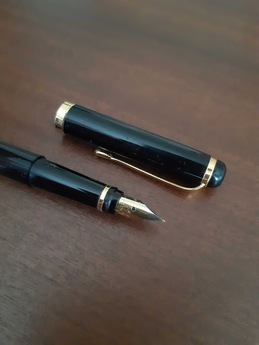 Caneta de tinta Doctor (Alemanha) séc. XX