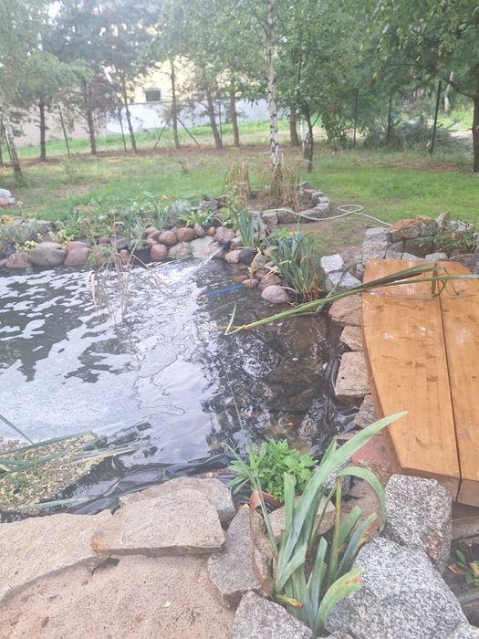 Wynajem cichego domku na doby