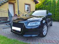 Audi A3 LIFT 1,6 MPI Bixenon LED Oryg Lakier Zobacz