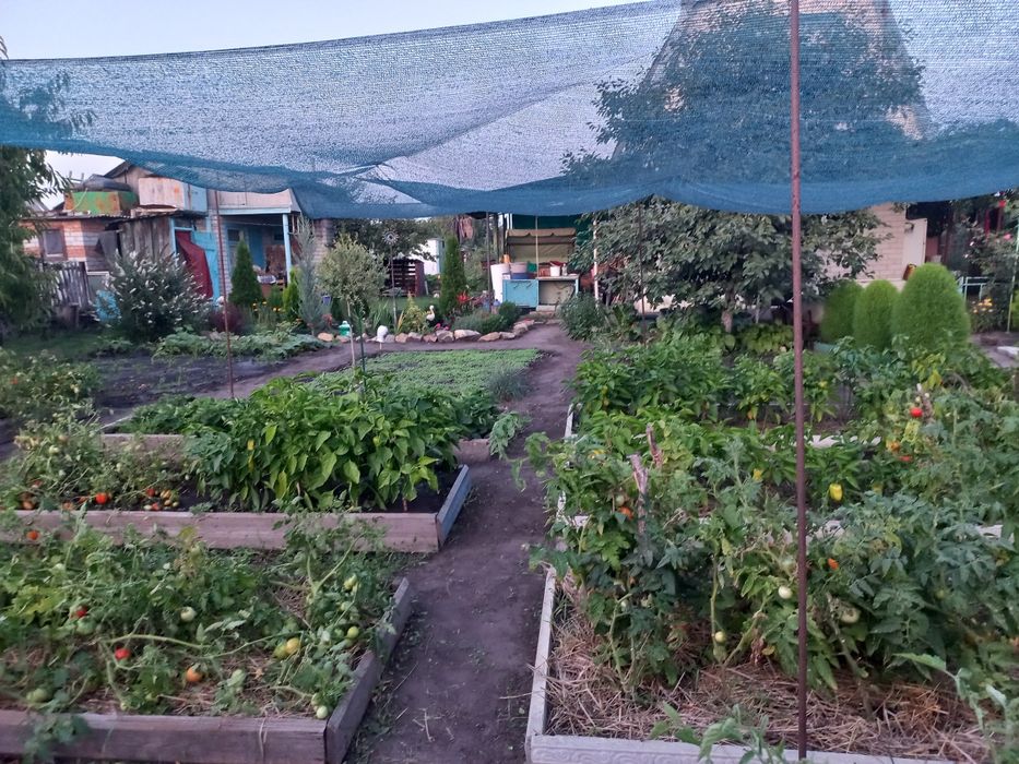 Продам дачу возле села Дмитровка. В доме печь и запас угля.