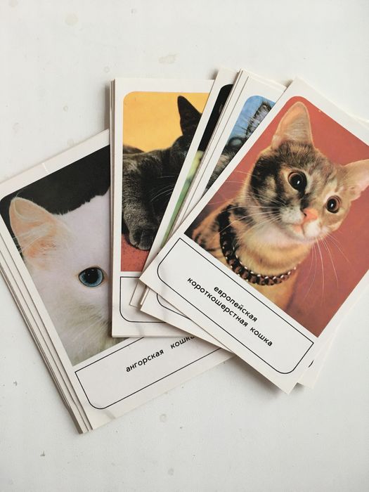 Открытки про кошек