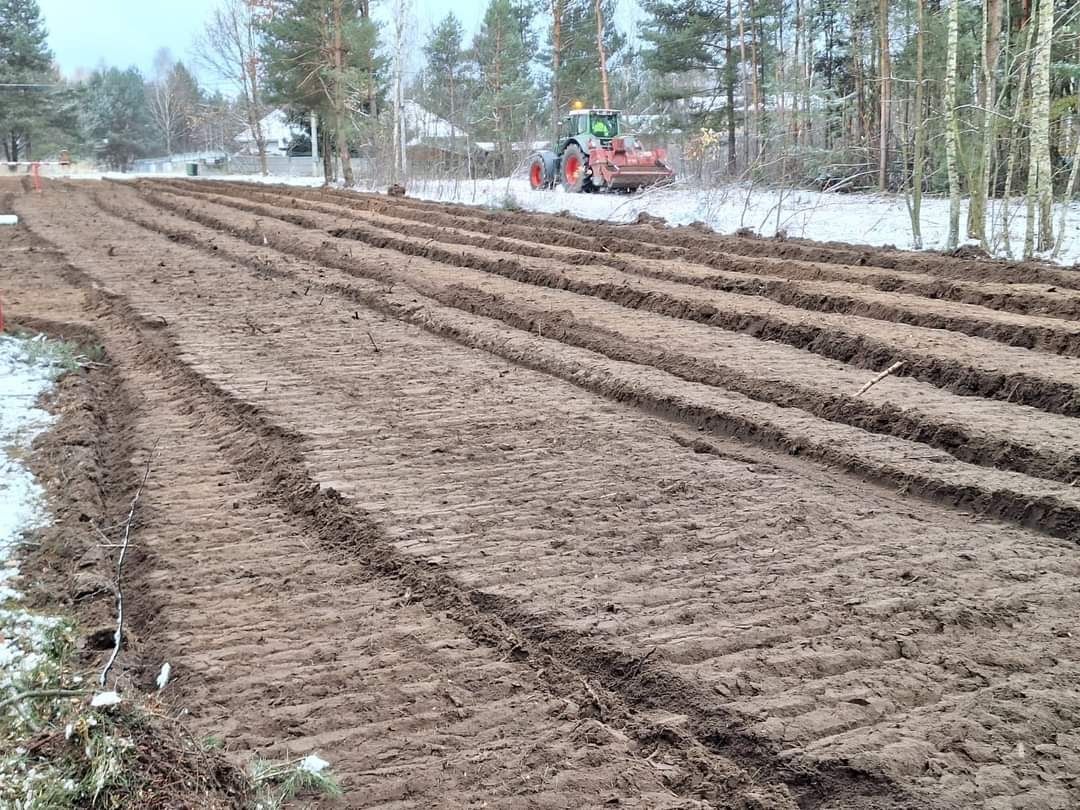 Wycinka drzew Karczowanie Mulczer Leśny Mulczer Wgłębny Karczowanie