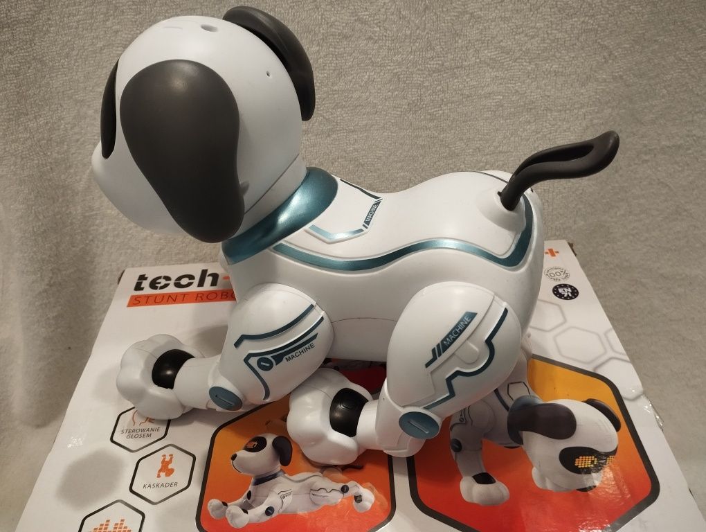 Robot pies Tech bot