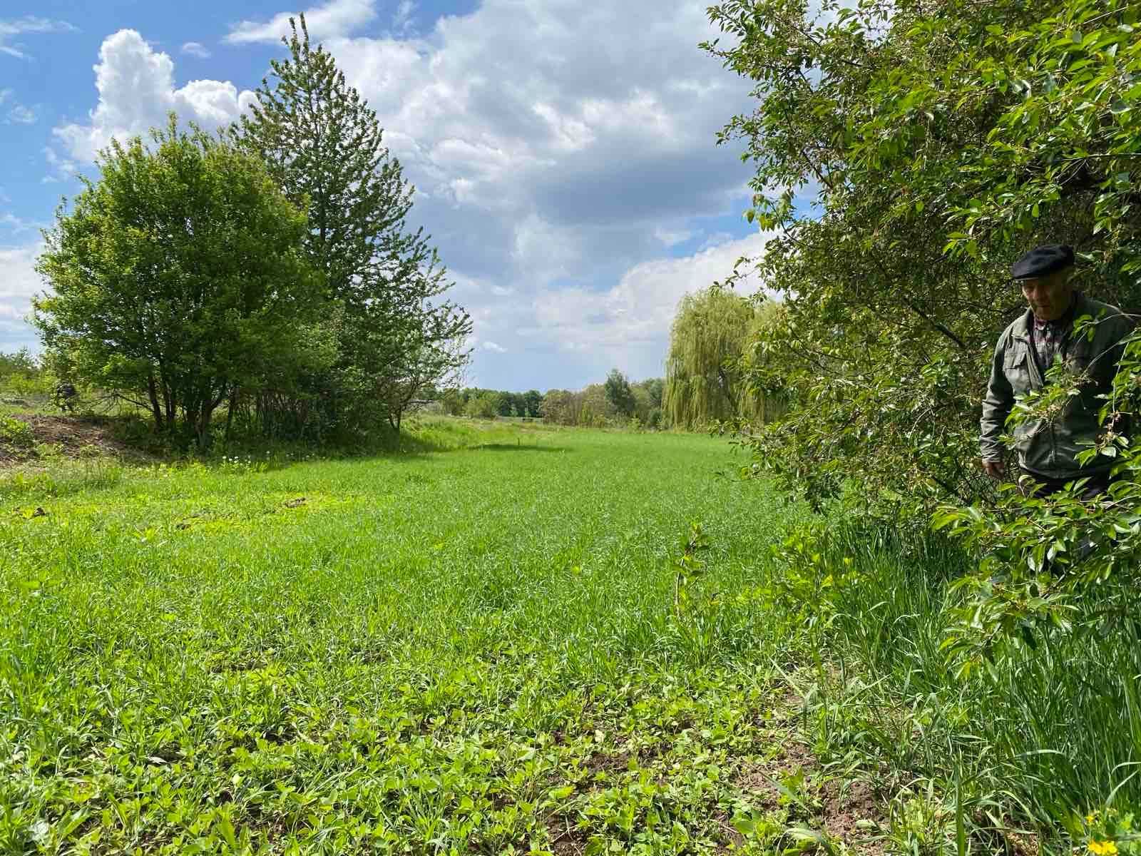 Продаж земельної ділянки с. Парпурівці 2342