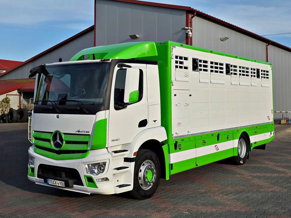 Mercedes-Benz Antos 1830 / Nowa zabudowa z wagą / do żywca / zwierząt / bydła / DMC 18T  Antos 1830 / Nowa zabudowa z wagą / do żywca / zwierząt / bydła / 18T
